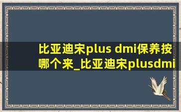 比亚迪宋plus dmi保养按哪个来_比亚迪宋plusdmi保养哪些项目